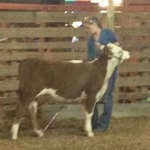 Meet your Posher, Ashley